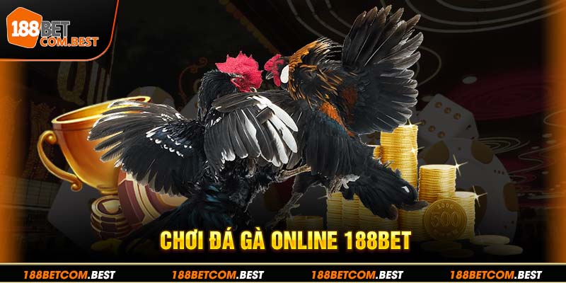 Đá Gà Online 188BET - Thỏa Đam Mê Với Các Trận Đấu Mãn Nhãn