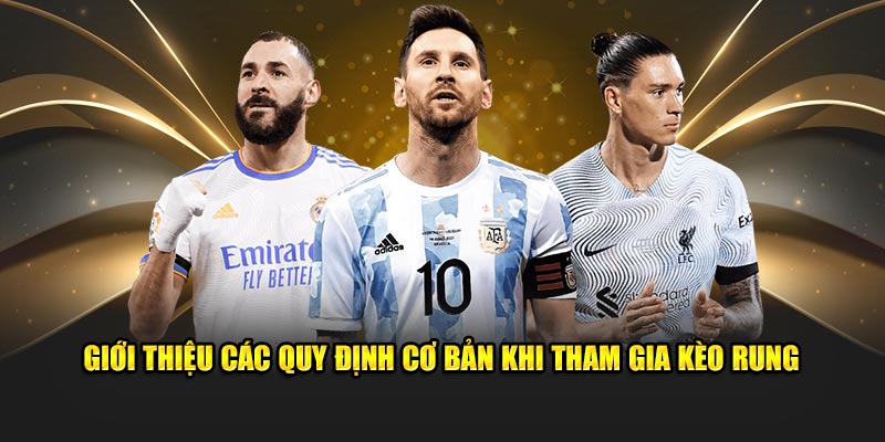 Giới thiệu các quy định cơ bản khi tham gia kèo rung