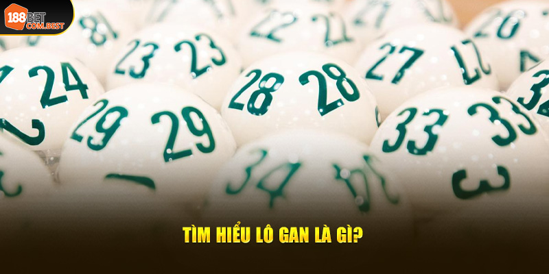 Tìm hiểu lô gan là gì?